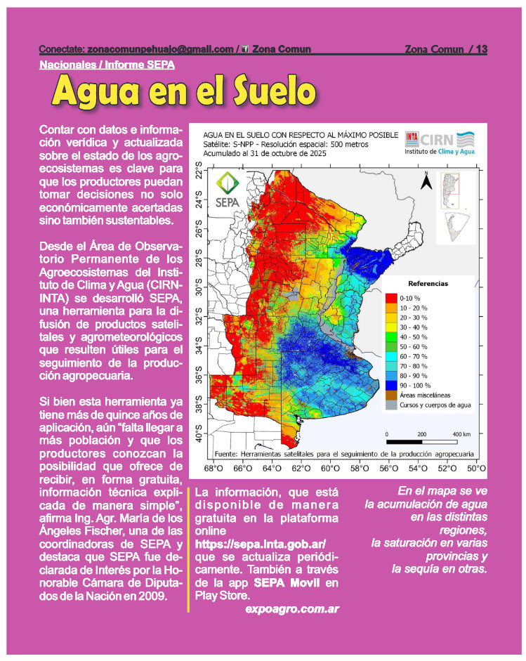 Zona Comun 116 Noviembre — page 13