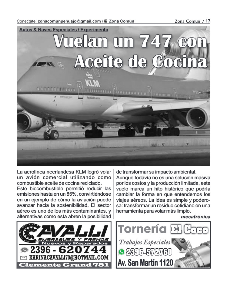 Zona Comun 116 Noviembre — page 17