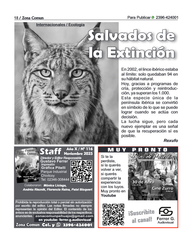 Zona Comun 116 Noviembre — page 18