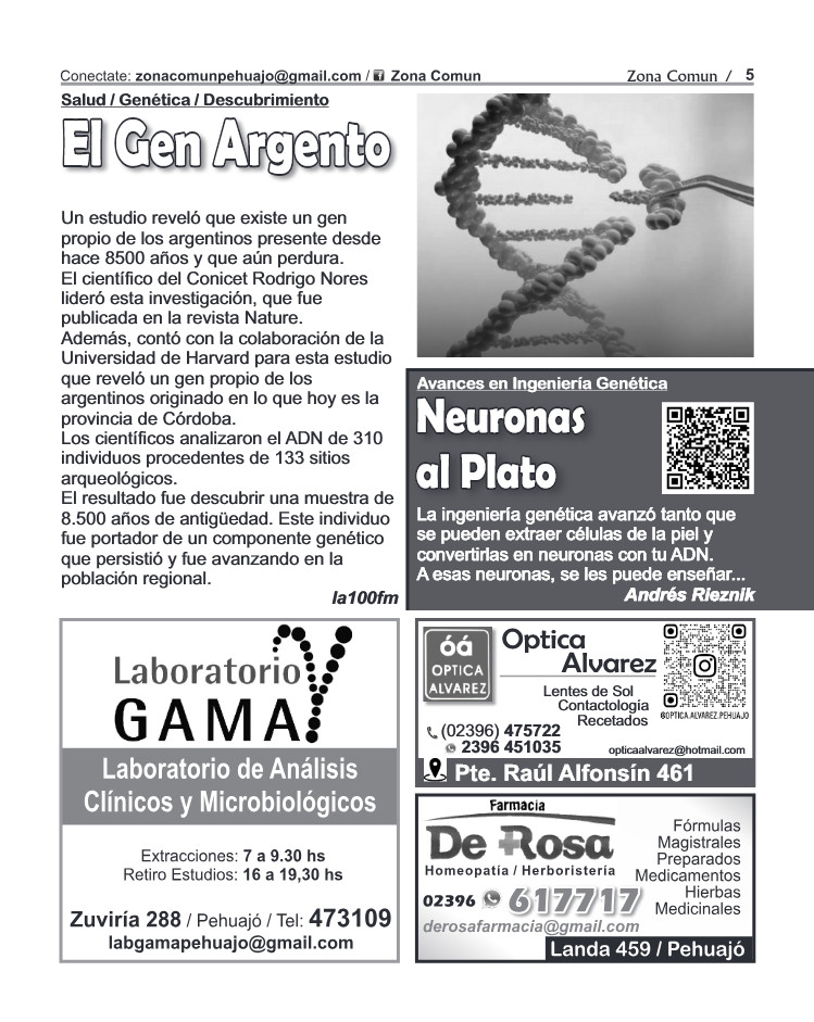 Zona Comun 116 Noviembre — page 5