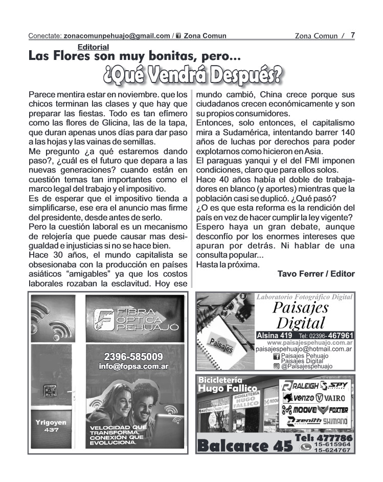 Zona Comun 116 Noviembre — page 7