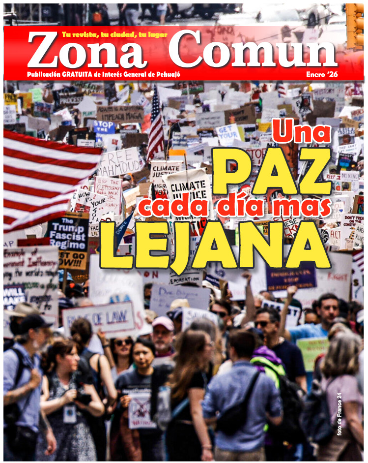 Zona Comun 118 Enero 2026