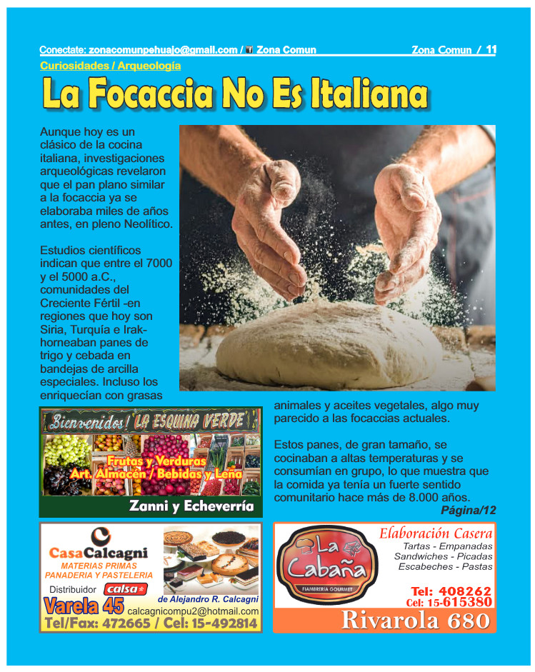Zona Comun 118 Enero 2026 — page 11