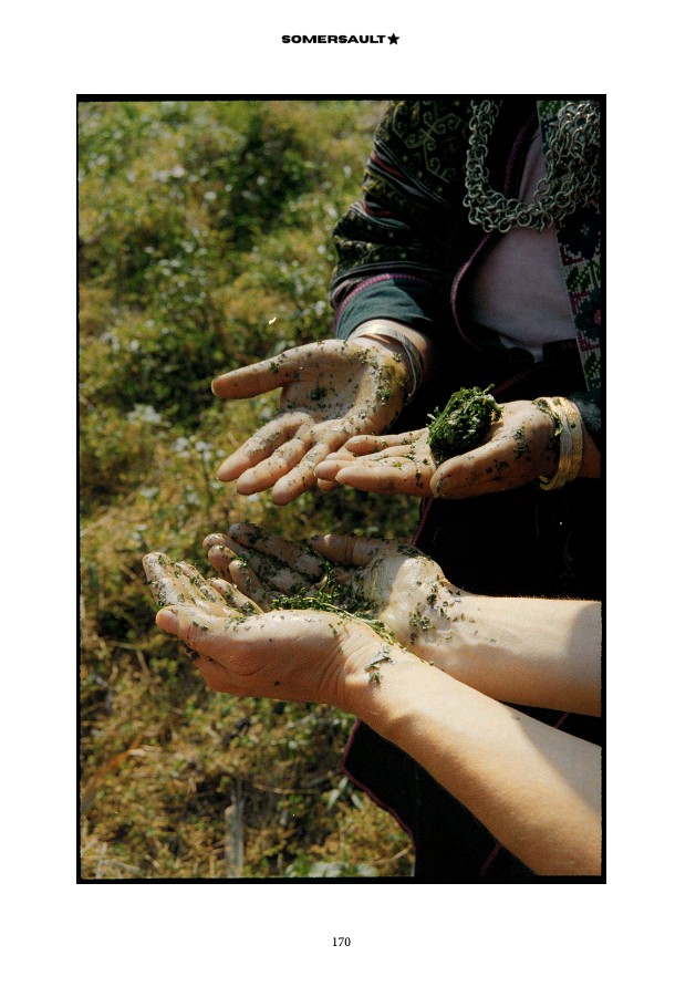 Somersault Magazine Issue 01 — page 170
