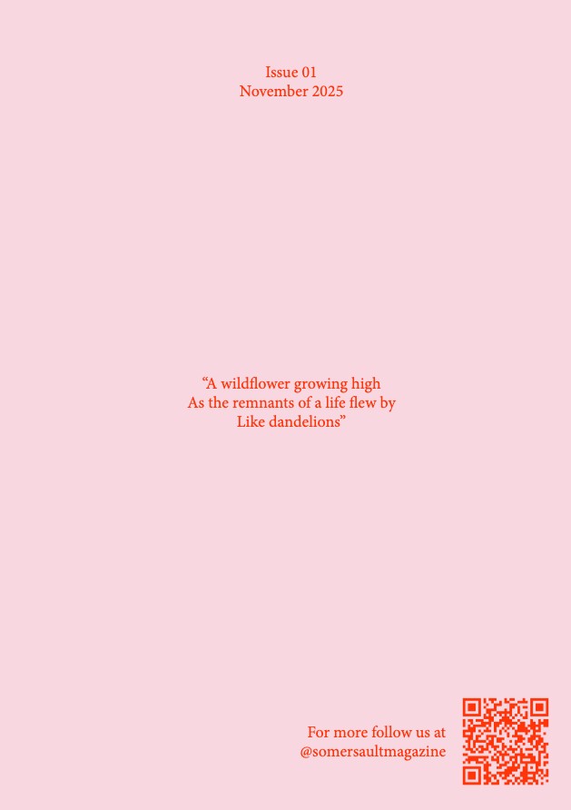Somersault Magazine Issue 01 — page 247