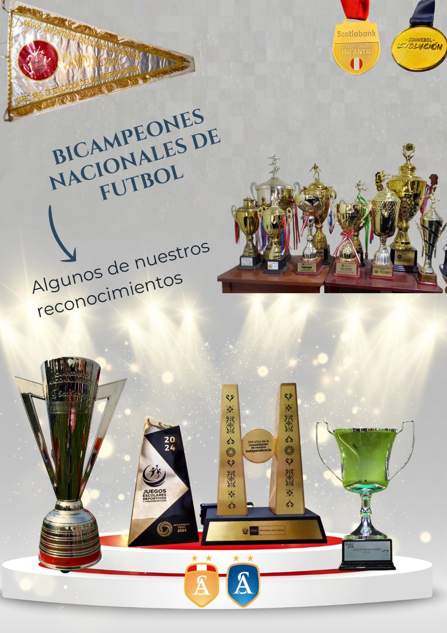 PRESENTACION COLEGIO CRISTIANO SAN ANDRES — page 13