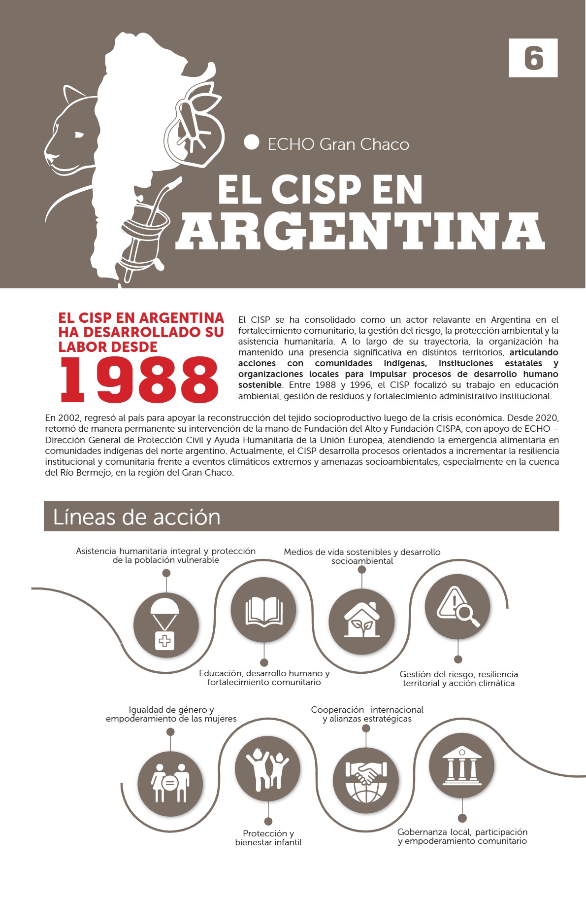 GACETA CIPS PRUEBA — page 6