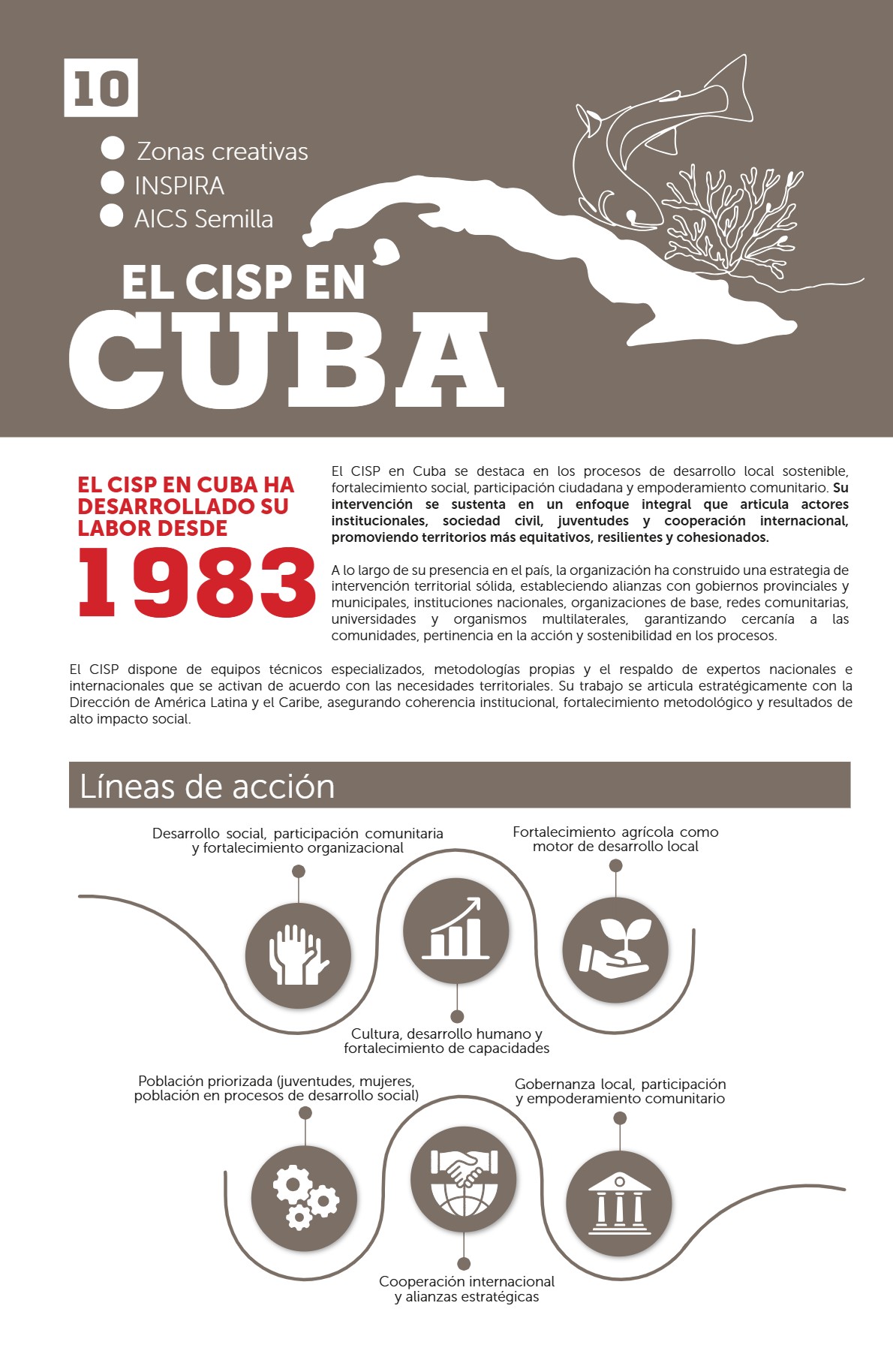 GACETA CIPS PRUEBA — page 10
