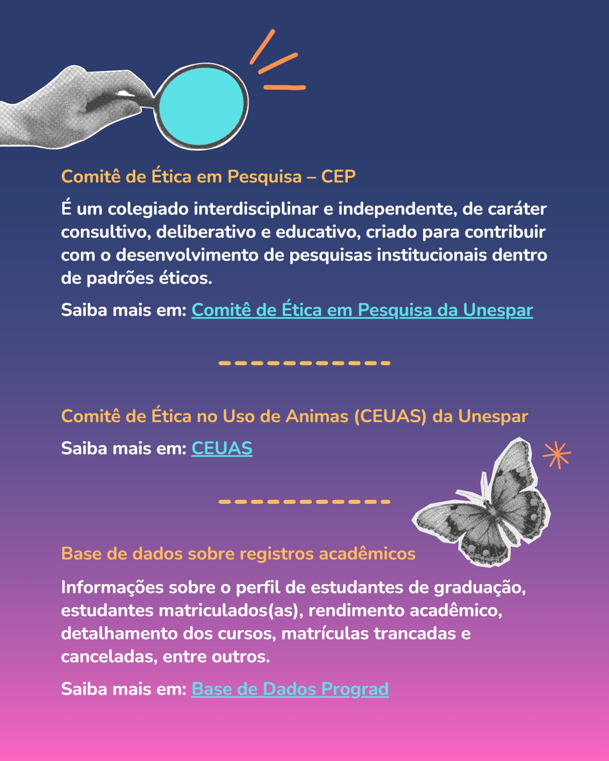 Manual Estudantil 2026 — page 49