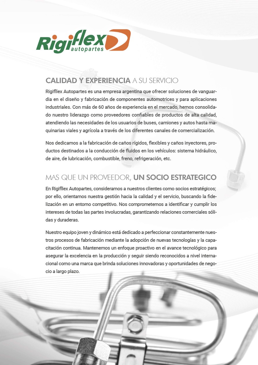 Rigiflex Autopartes - (catm24) — page 3
