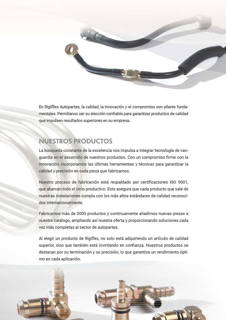 Rigiflex Autopartes - (catm24) — page 4
