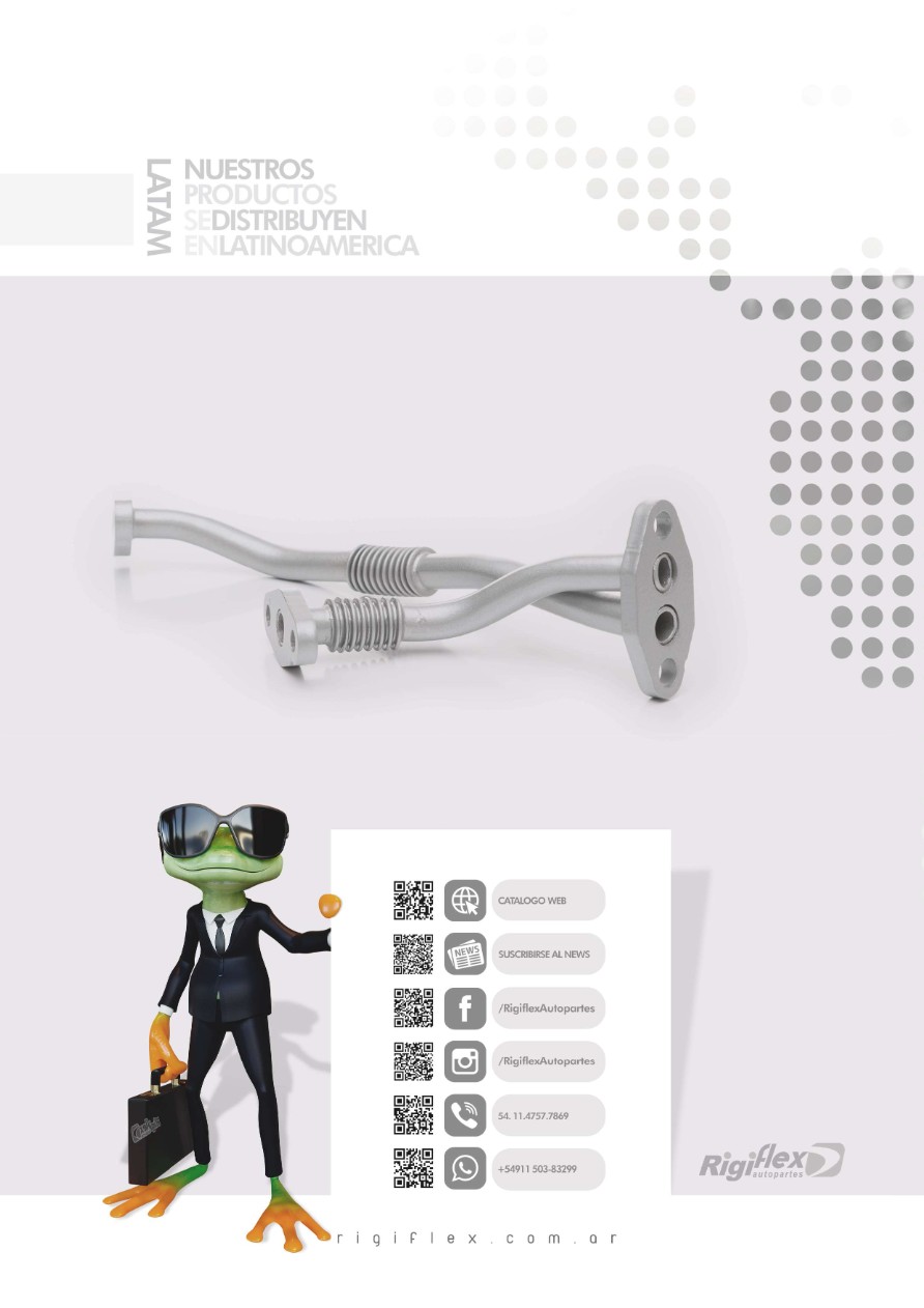 Rigiflex Autopartes - (catm24) — page 39
