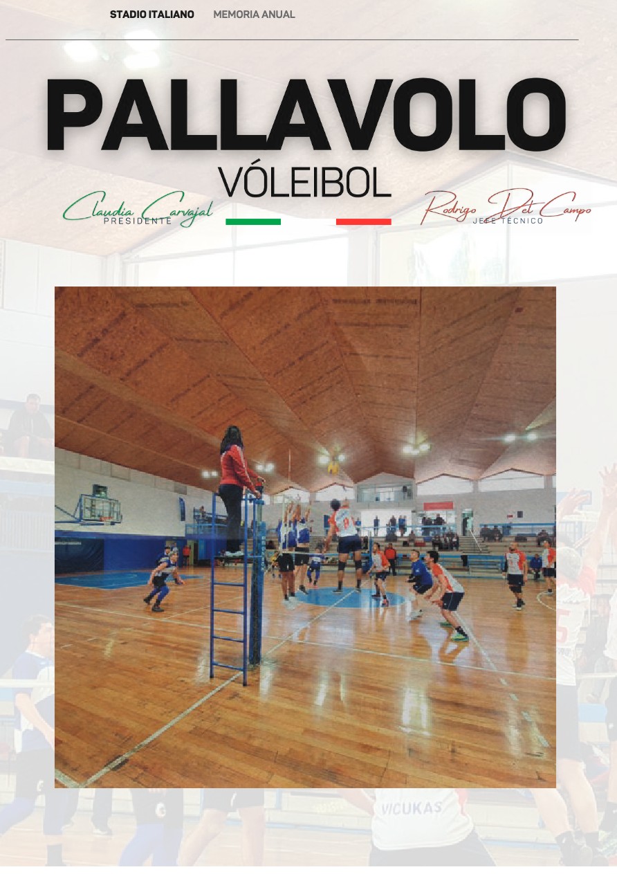 Memoria Anual 2022 — page 41