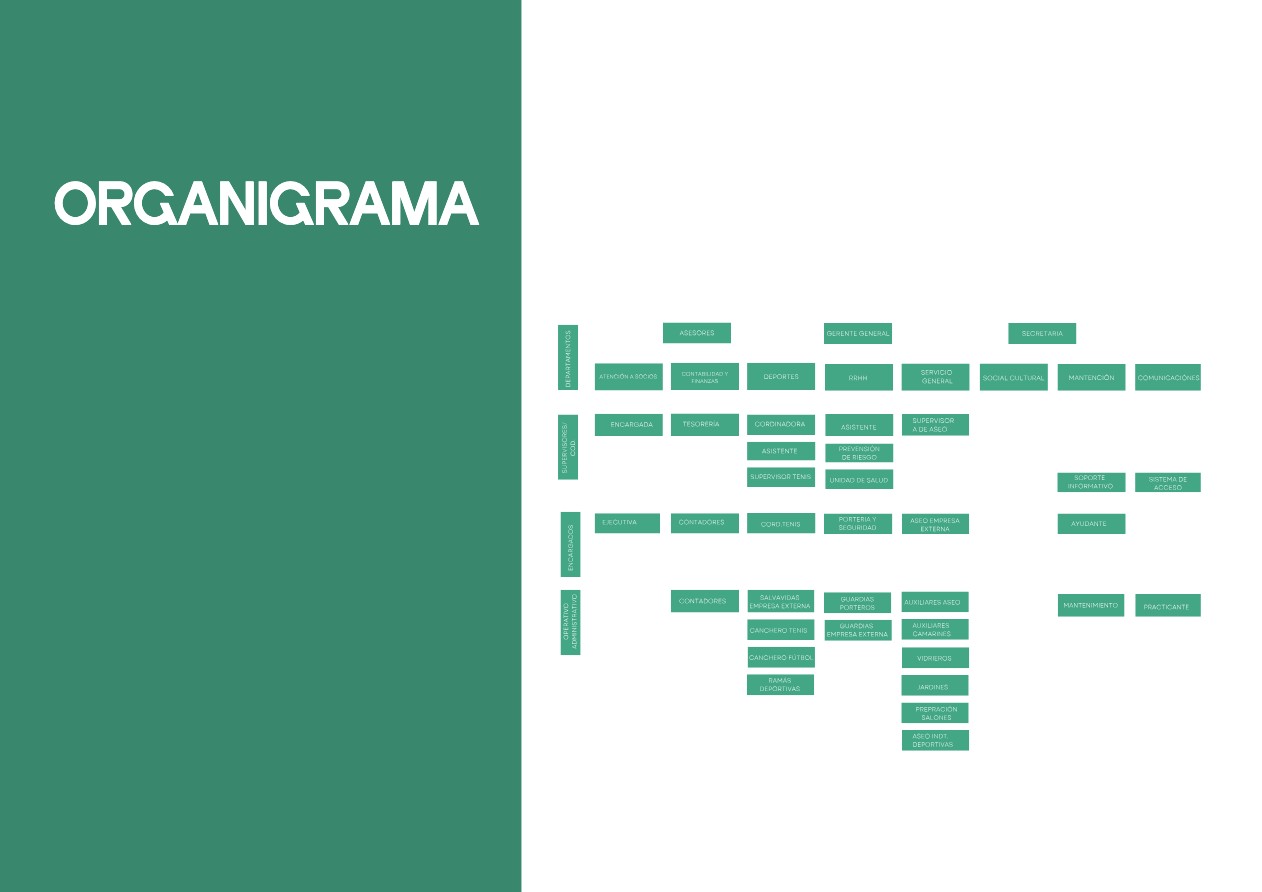 Memoria Anual 2024 — page 12