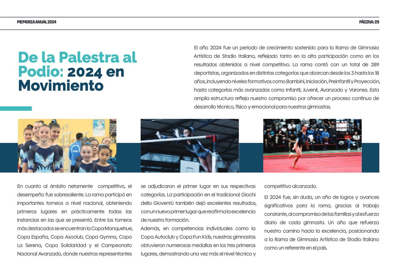 Memoria Anual 2024 — page 29