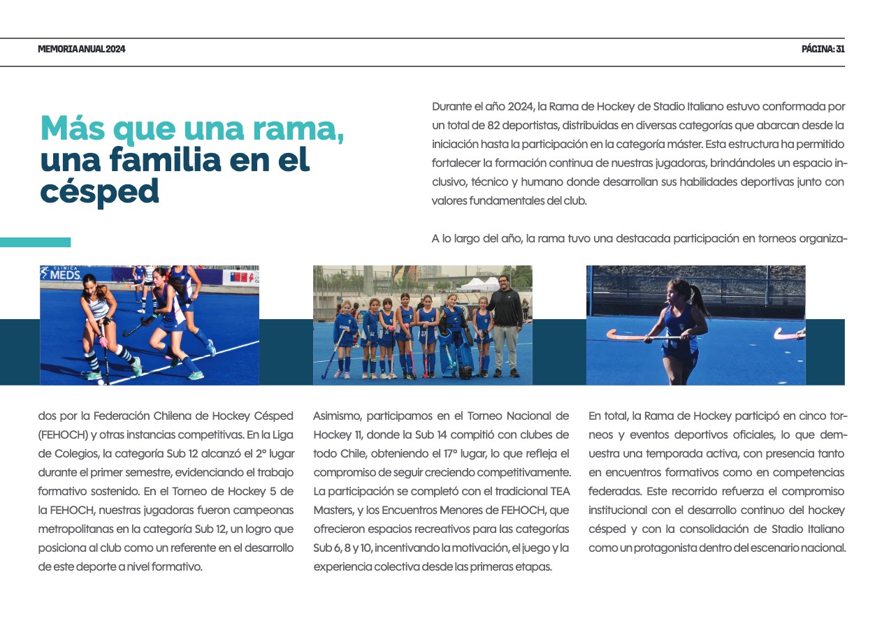 Memoria Anual 2024 — page 31