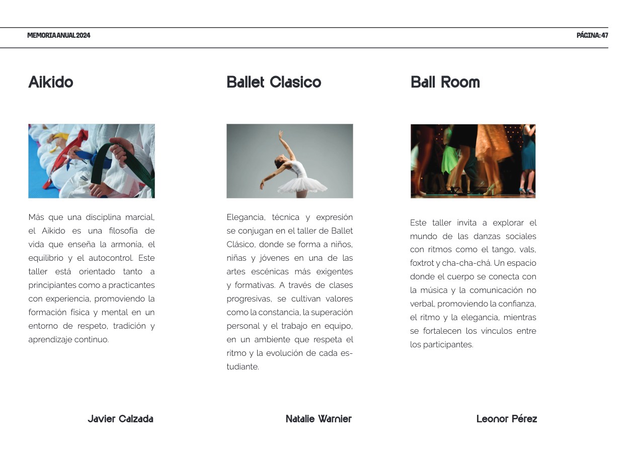 Memoria Anual 2024 — page 47
