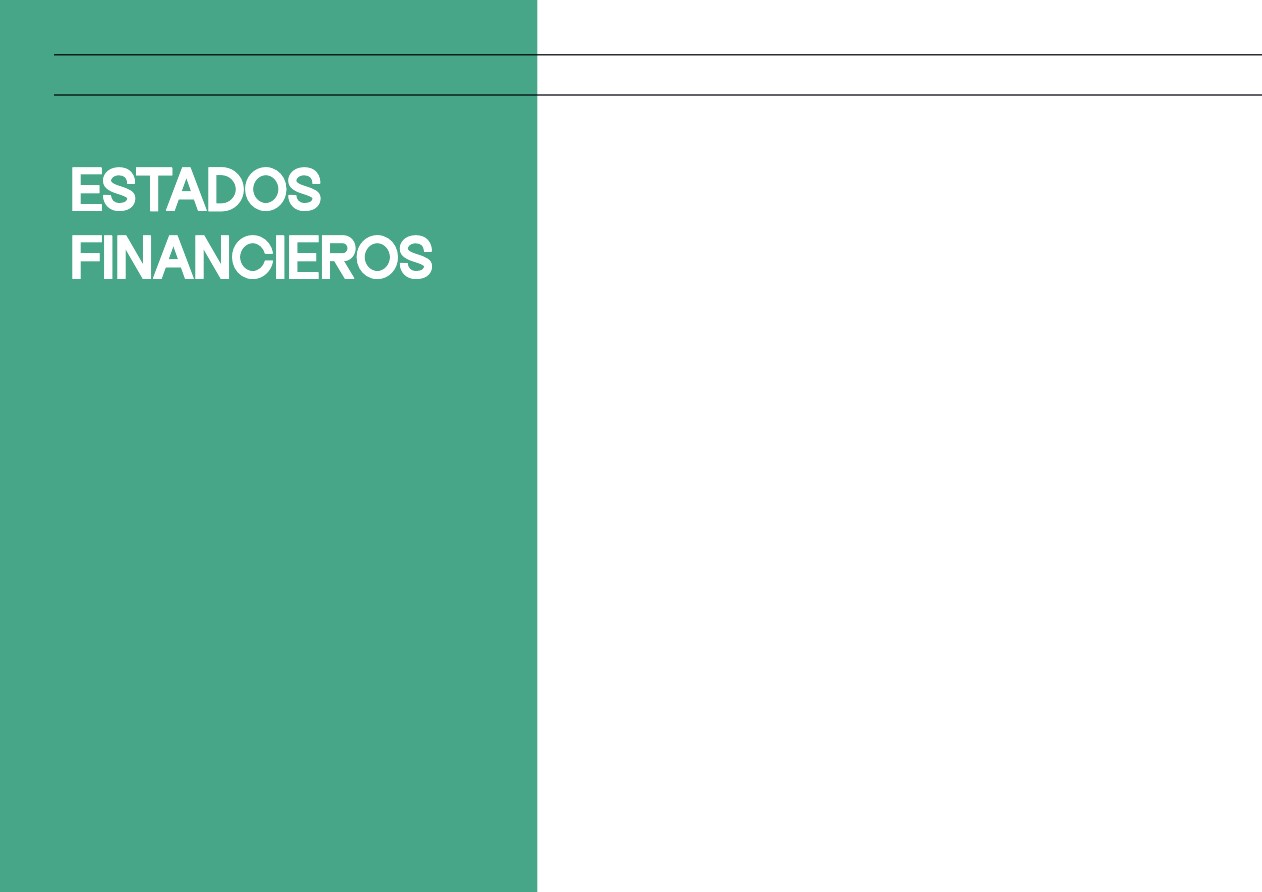 Memoria Anual 2024 — page 52