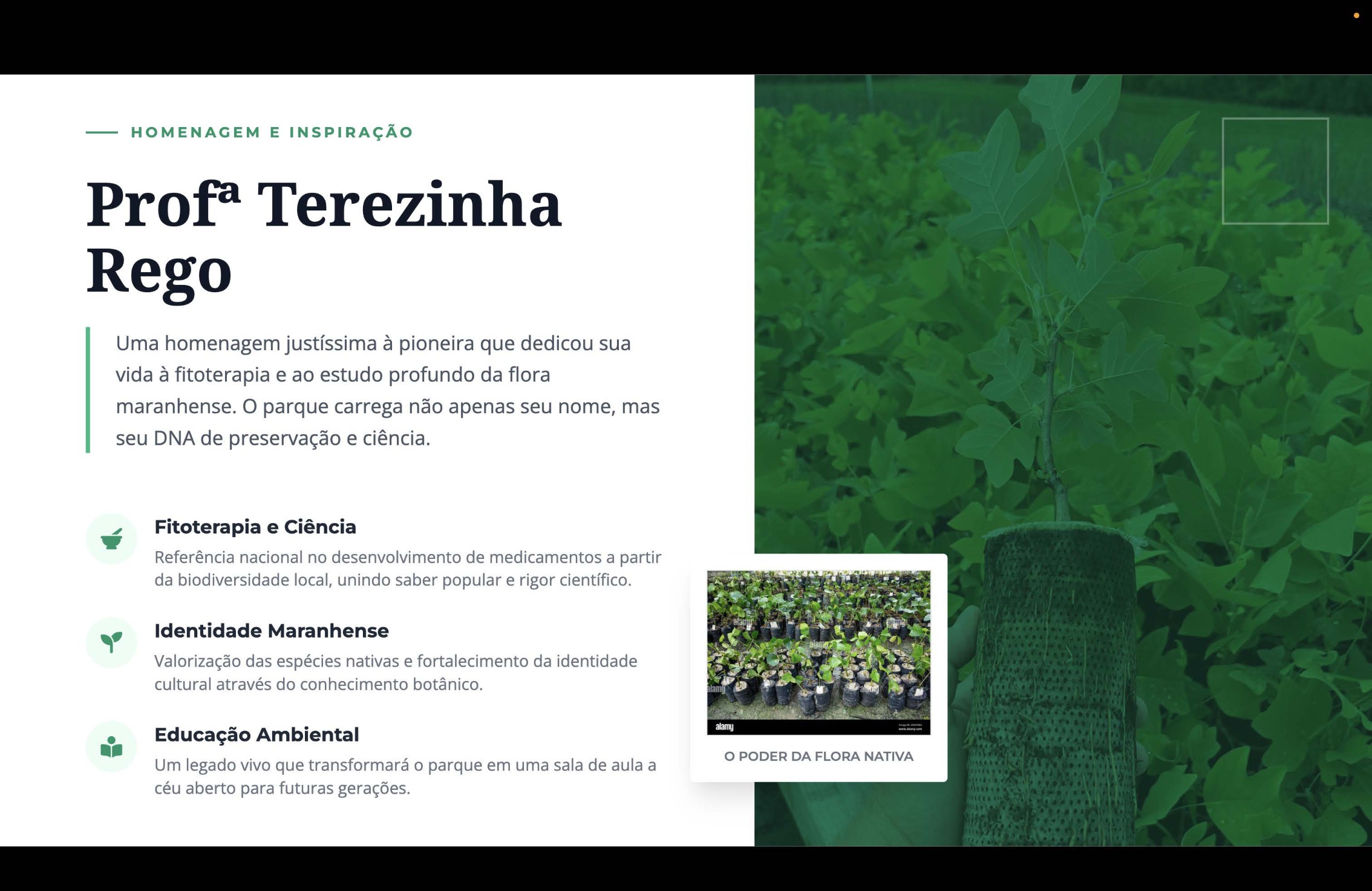PARQUE AMBIENTAL — page 2