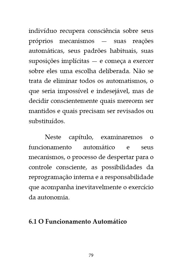 O_Codigo_da_Invisibilidade_Francisco_Jose_Abreu — page 79