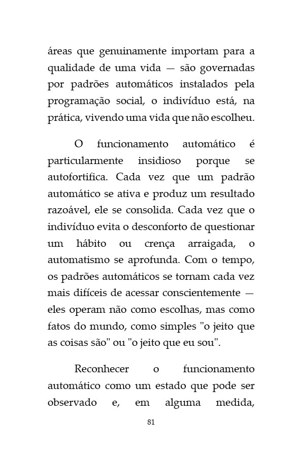 O_Codigo_da_Invisibilidade_Francisco_Jose_Abreu — page 81