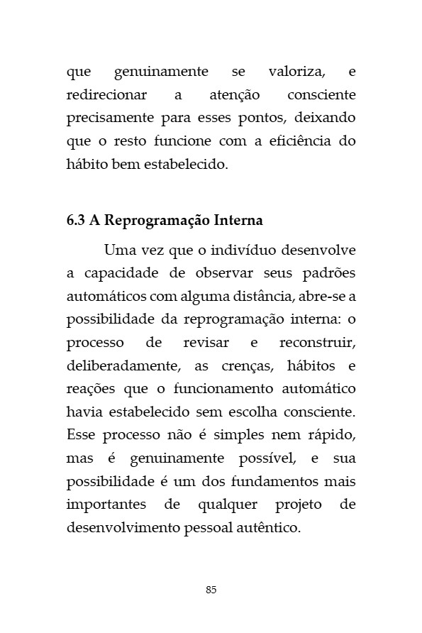 O_Codigo_da_Invisibilidade_Francisco_Jose_Abreu — page 85