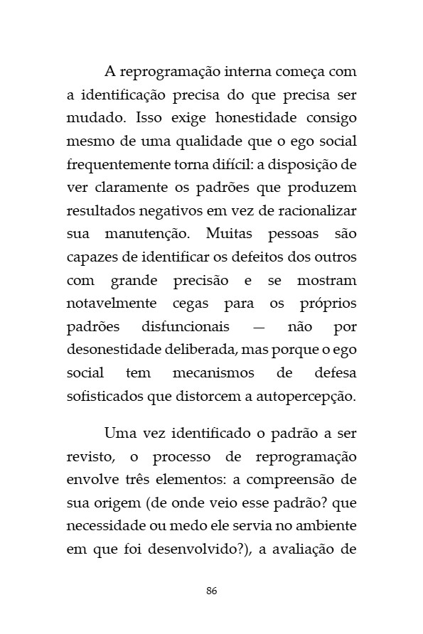 O_Codigo_da_Invisibilidade_Francisco_Jose_Abreu — page 86