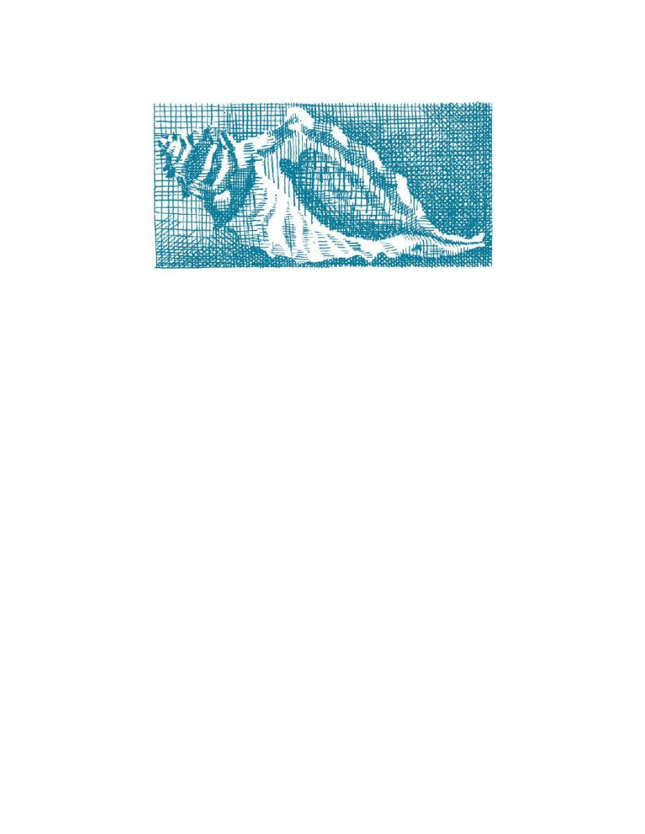 O Livro do Chá (Kakuzo Okakura) — page 348