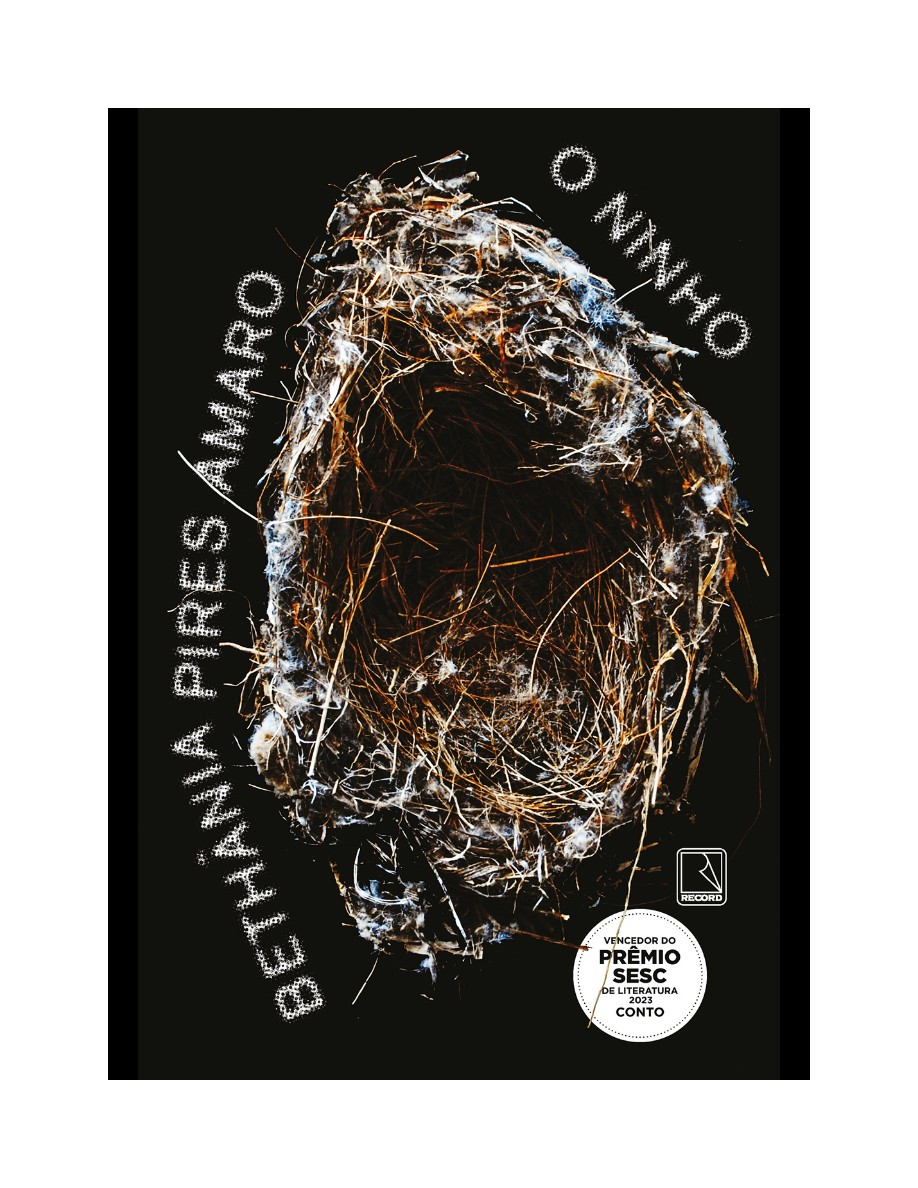 O Ninho (Bethânia Pires Amaro) — page 2