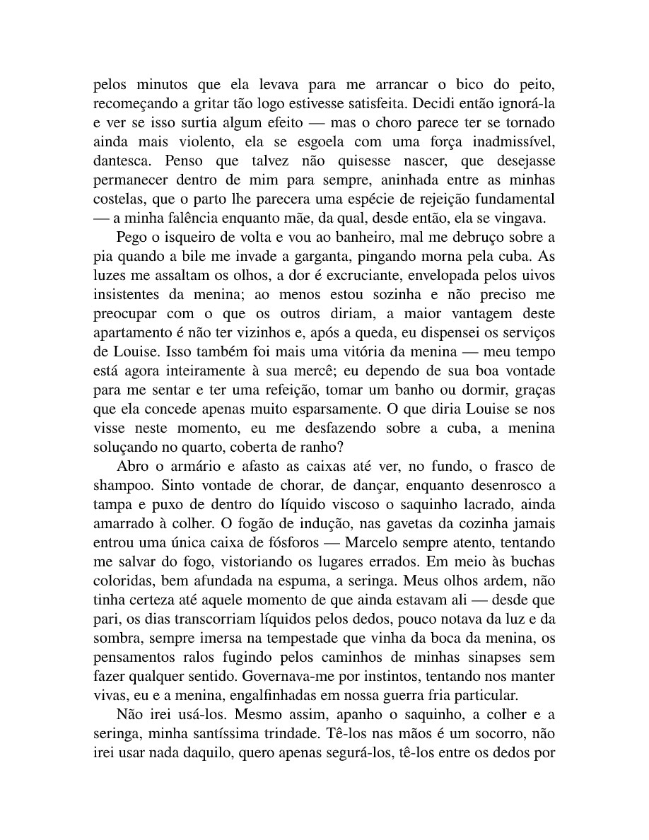O Ninho (Bethânia Pires Amaro) — page 13