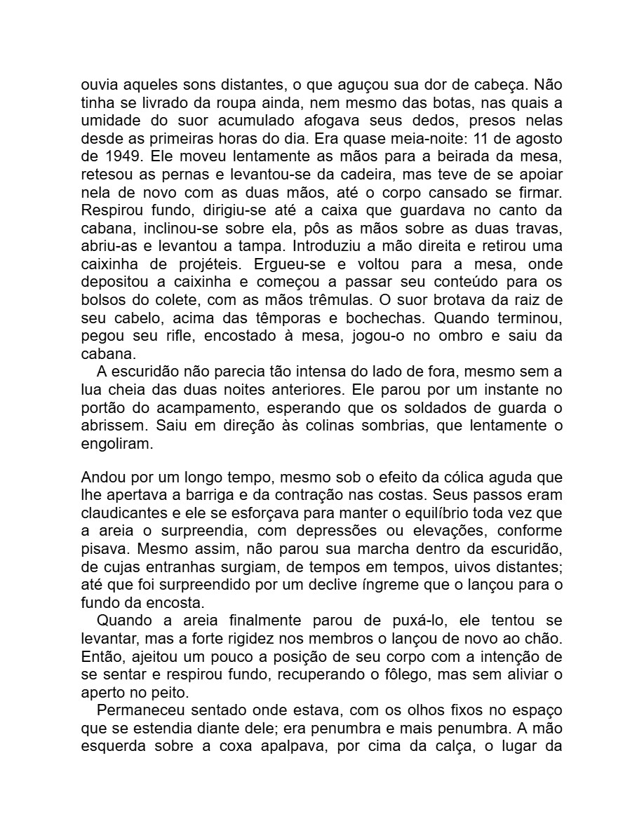 Detalhe menor (Adania Shibli) — page 13