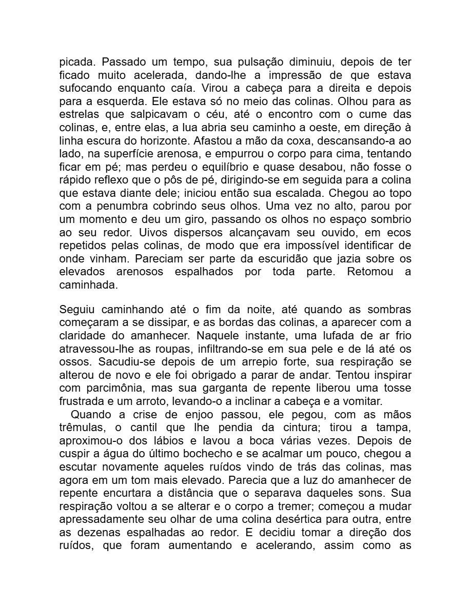 Detalhe menor (Adania Shibli) — page 14