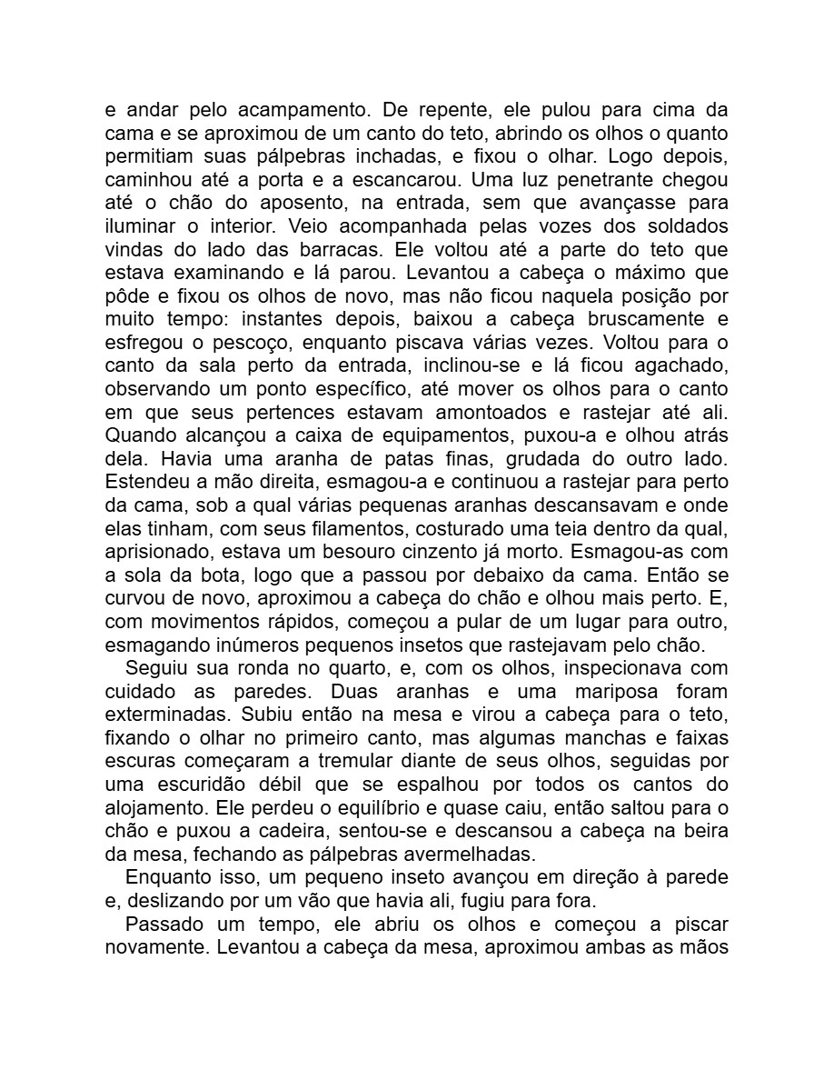 Detalhe menor (Adania Shibli) — page 17