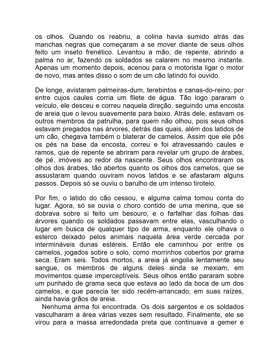 Detalhe menor (Adania Shibli) — page 19