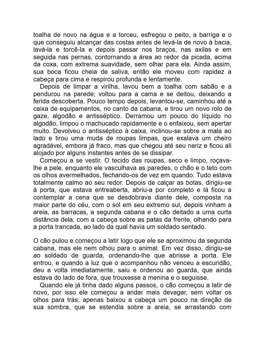 Detalhe menor (Adania Shibli) — page 22