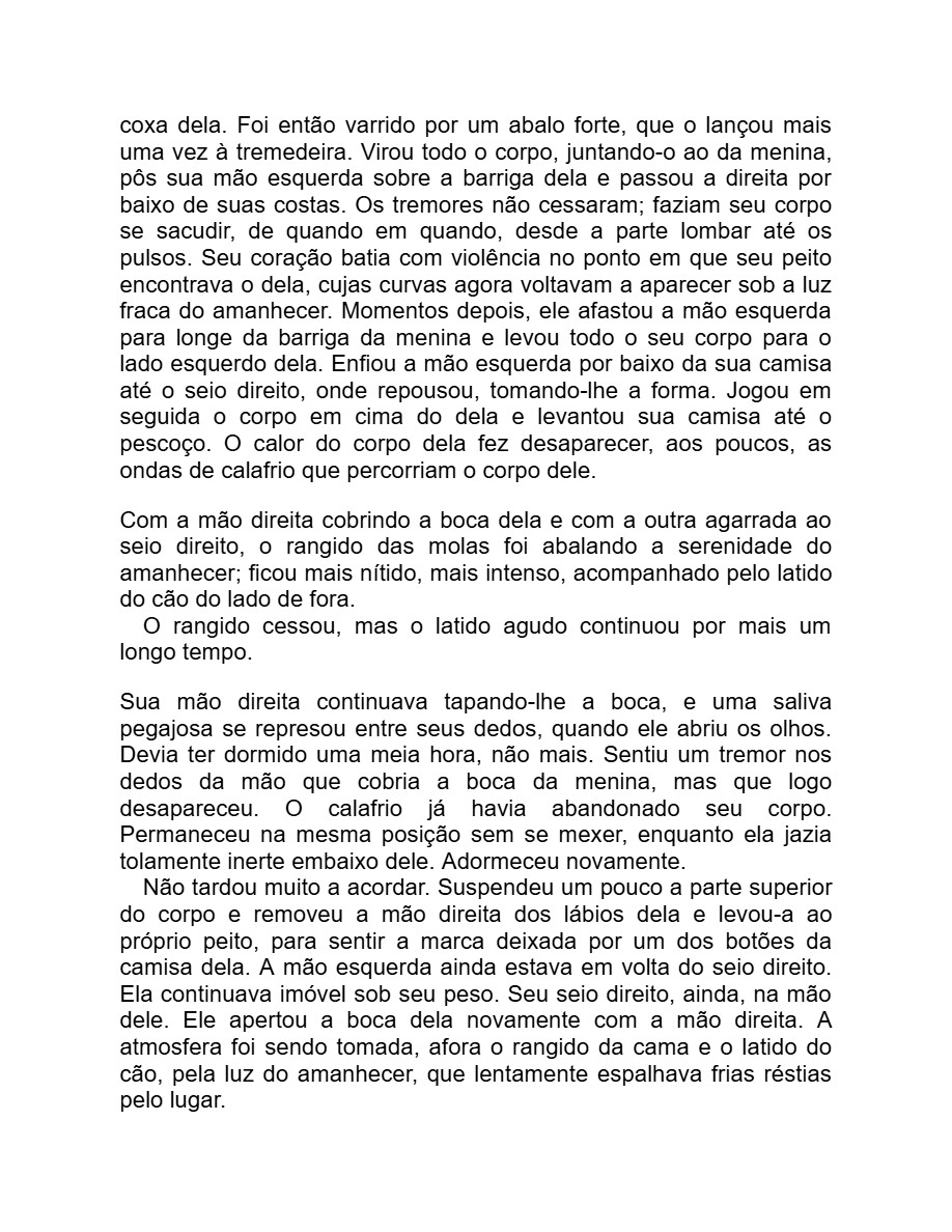 Detalhe menor (Adania Shibli) — page 35