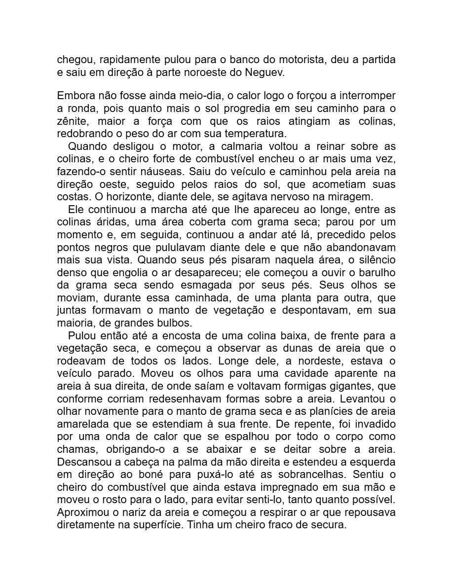Detalhe menor (Adania Shibli) — page 38
