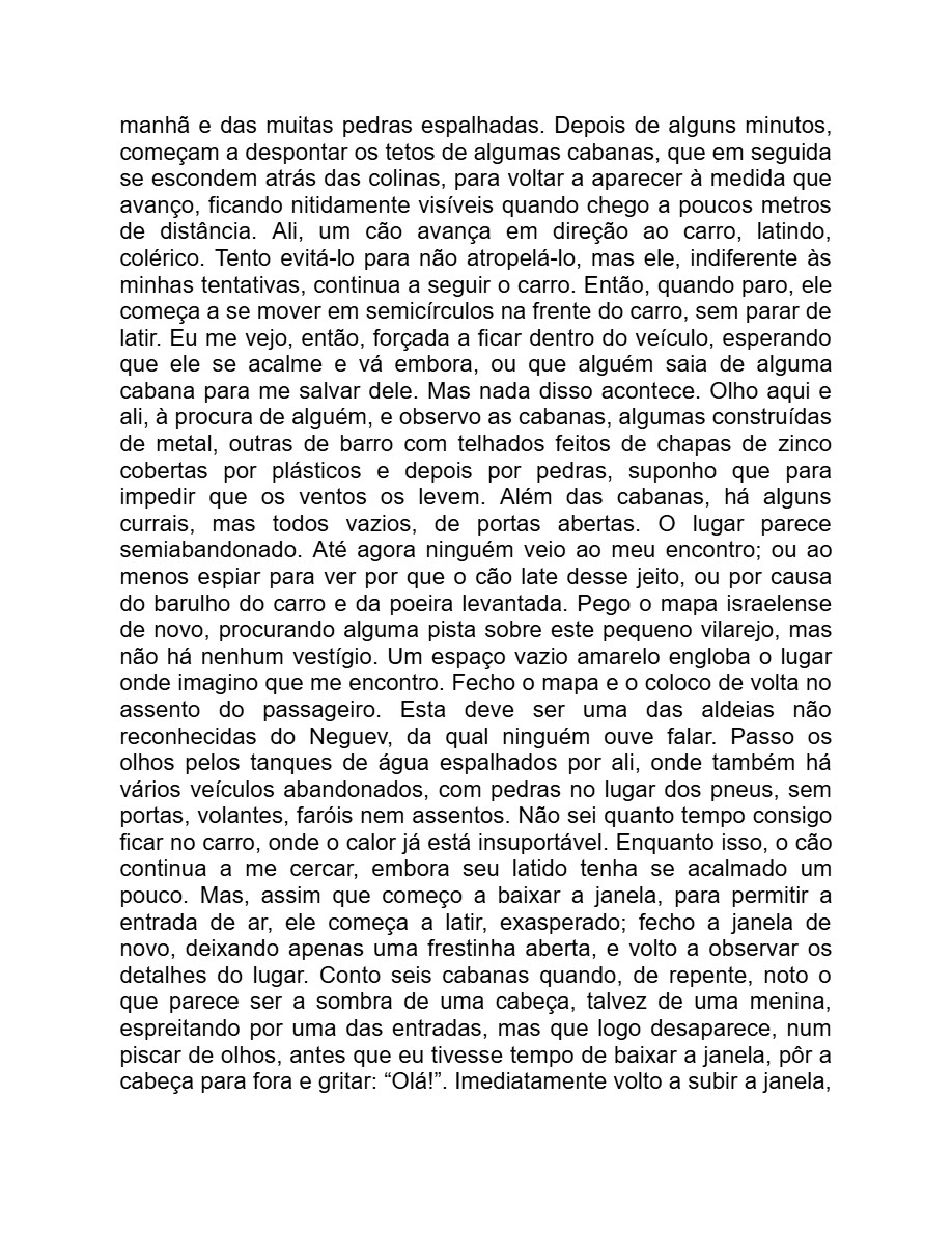 Detalhe menor (Adania Shibli) — page 84