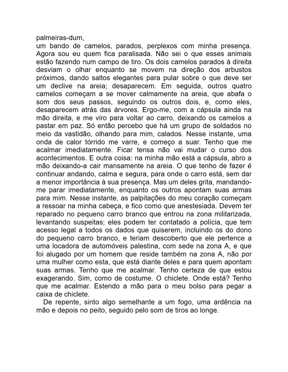 Detalhe menor (Adania Shibli) — page 88