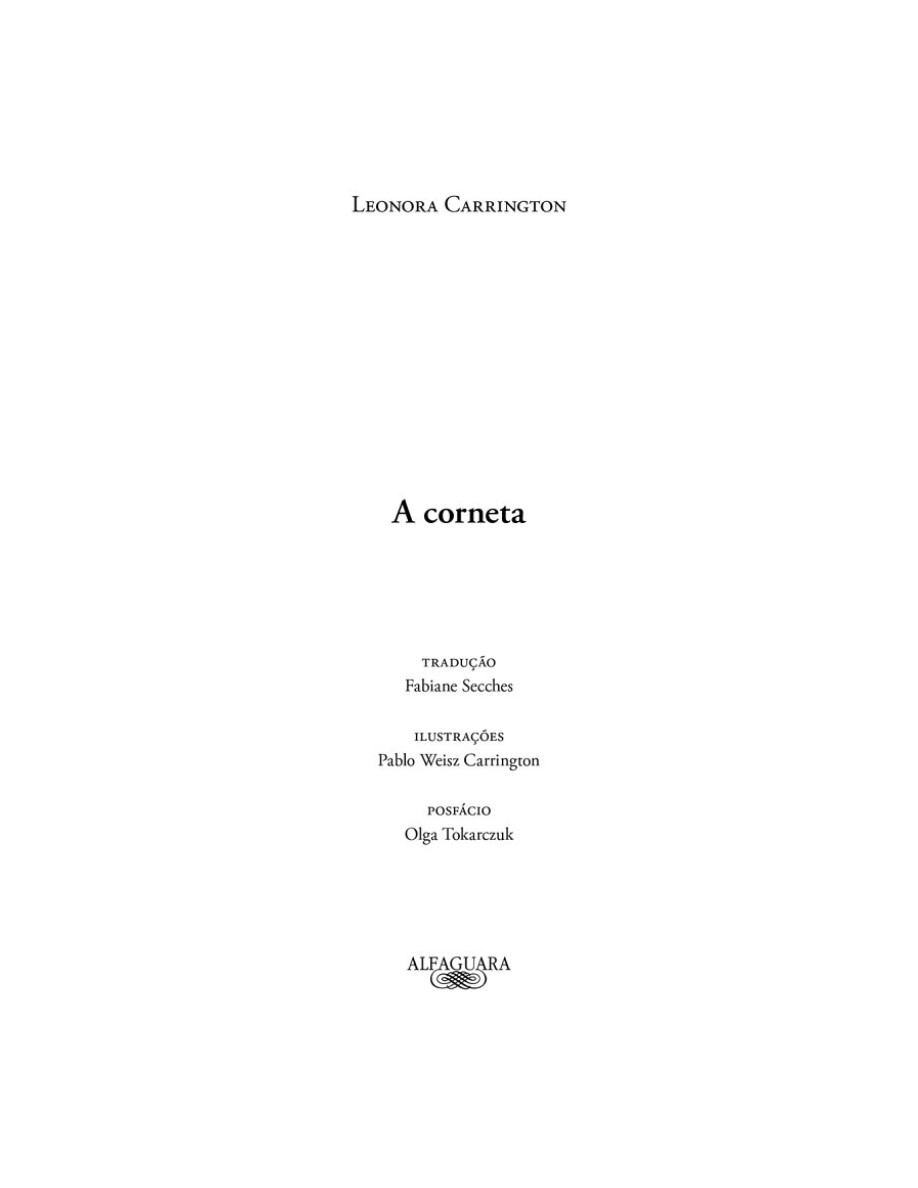 O som do rugido da onça (Micheliny Verunschk) — page 2