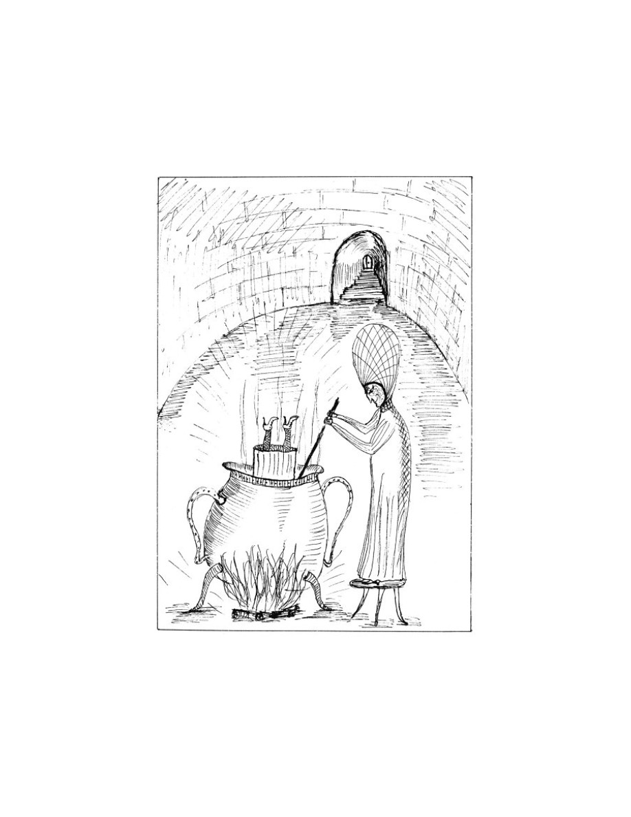 O som do rugido da onça (Micheliny Verunschk) — page 169