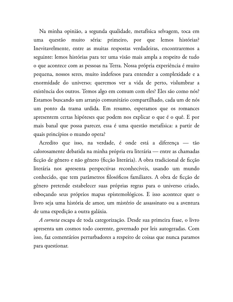 O som do rugido da onça (Micheliny Verunschk) — page 197