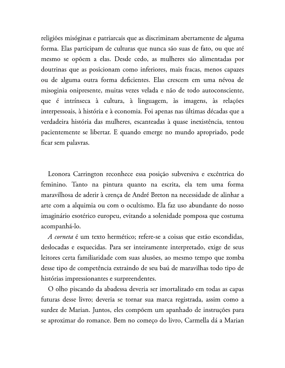 O som do rugido da onça (Micheliny Verunschk) — page 203