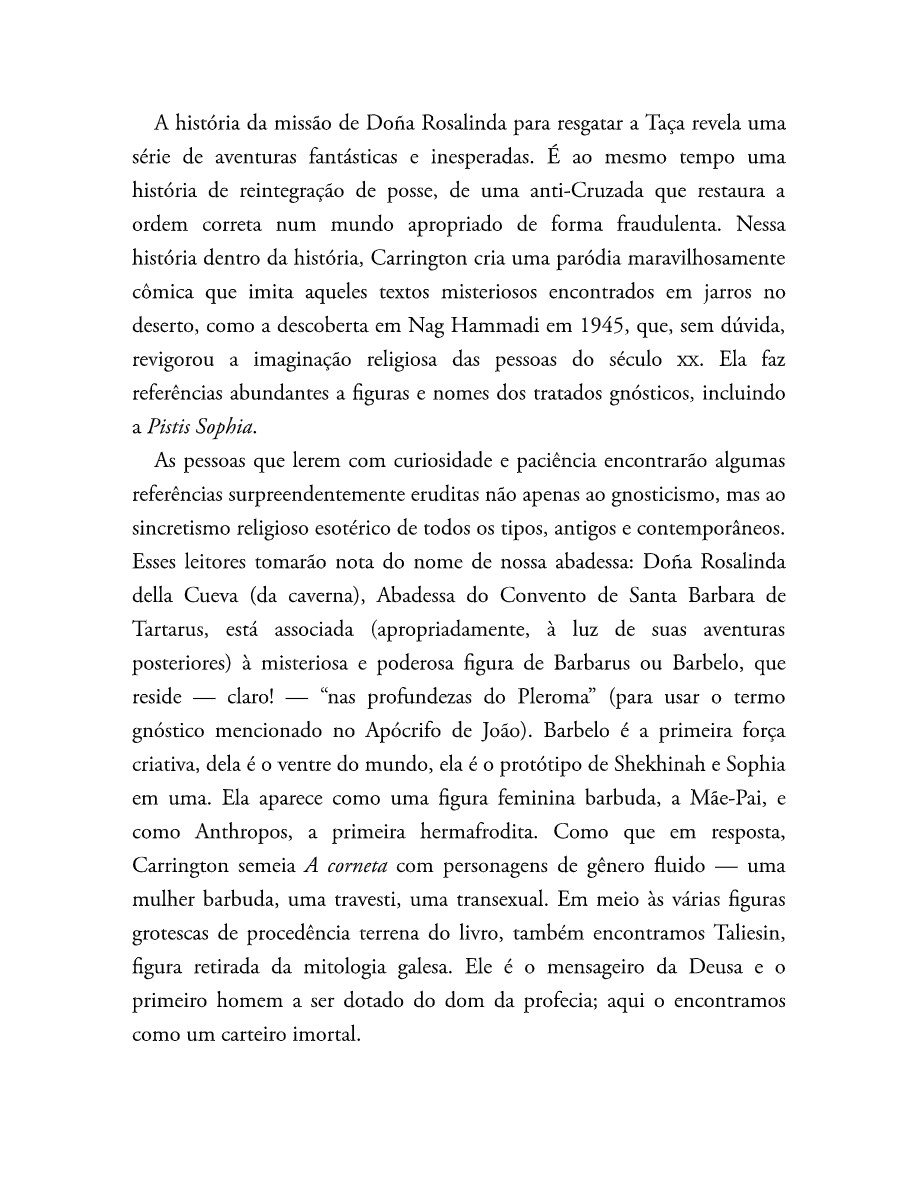 O som do rugido da onça (Micheliny Verunschk) — page 205