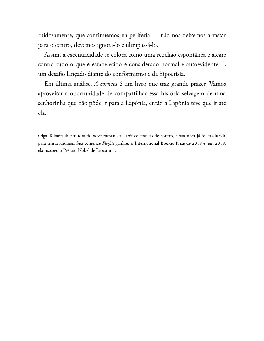 O som do rugido da onça (Micheliny Verunschk) — page 207