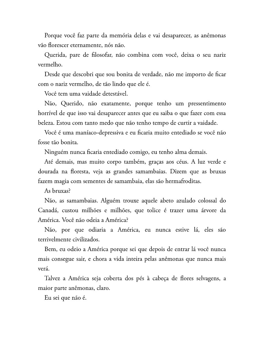 O som do rugido da onça (Micheliny Verunschk) — page 25