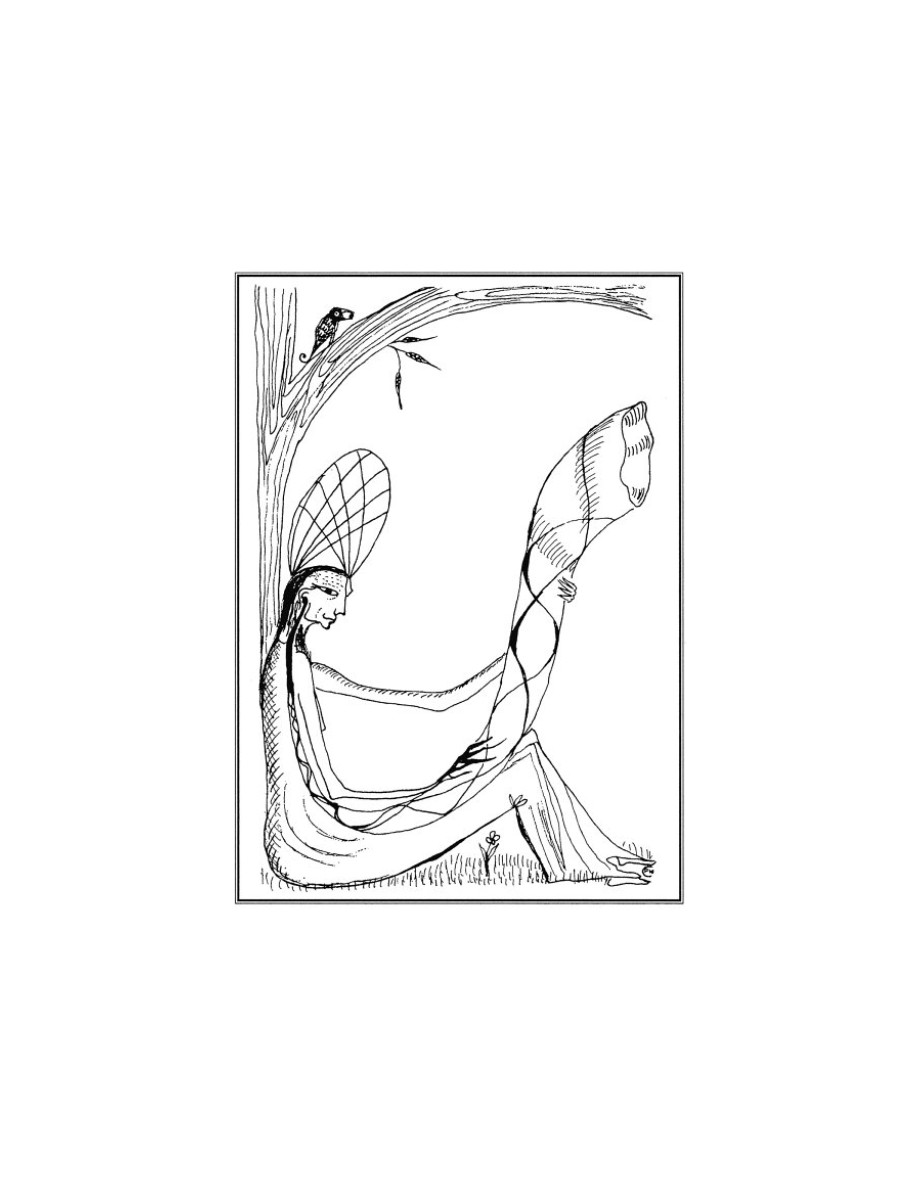 O som do rugido da onça (Micheliny Verunschk) — page 5