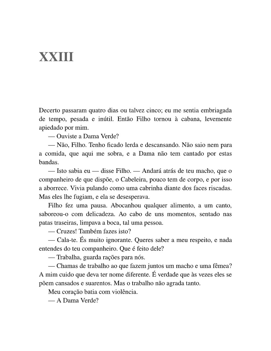 Margarida La Rocque: A ilha dos demônios (Dinah Silveira de Queiroz) — page 111