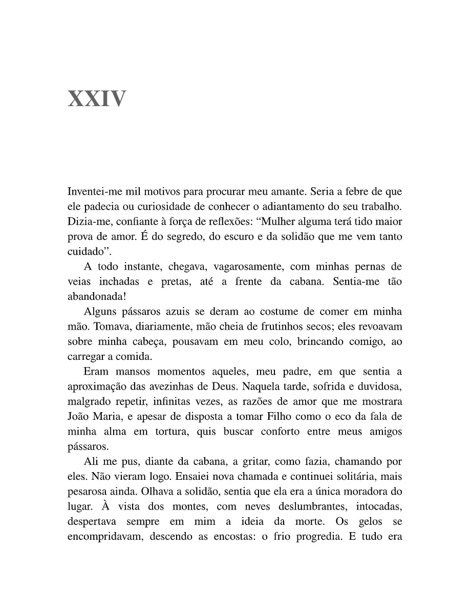 Margarida La Rocque: A ilha dos demônios (Dinah Silveira de Queiroz) — page 113
