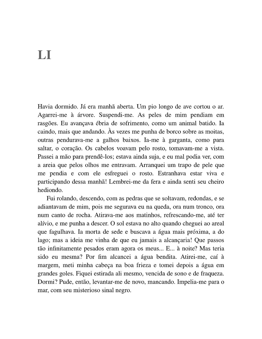 Margarida La Rocque: A ilha dos demônios (Dinah Silveira de Queiroz) — page 195